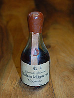 ligniere_2.jpg